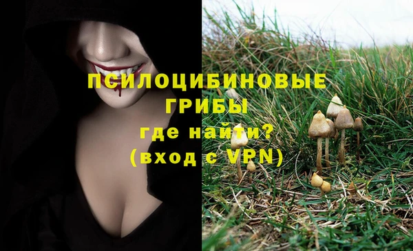 прущая мука Саяногорск