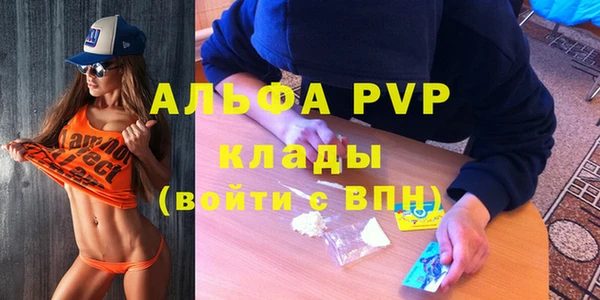 PSILOCYBIN Сатка