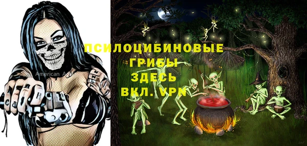 PSILOCYBIN Сатка