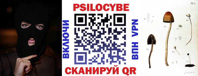 Купить закладки  Кодинск  Псилоцибиновые грибы MAGIC MUSHROOMS 
